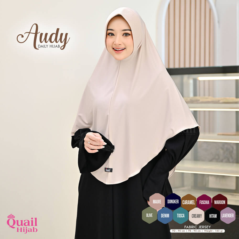 Audy